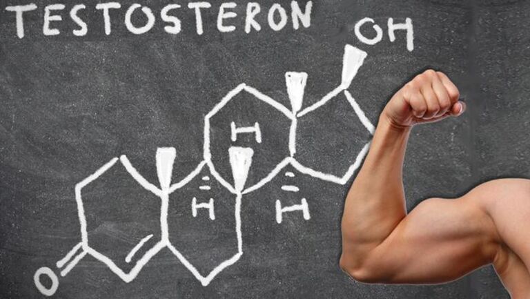 Il testosterone è il principale ormone sessuale maschile